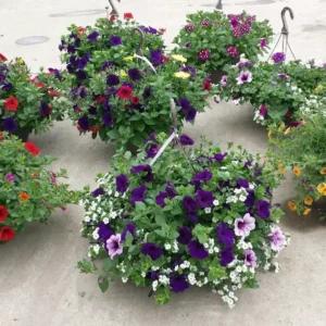 Hanging-Basket